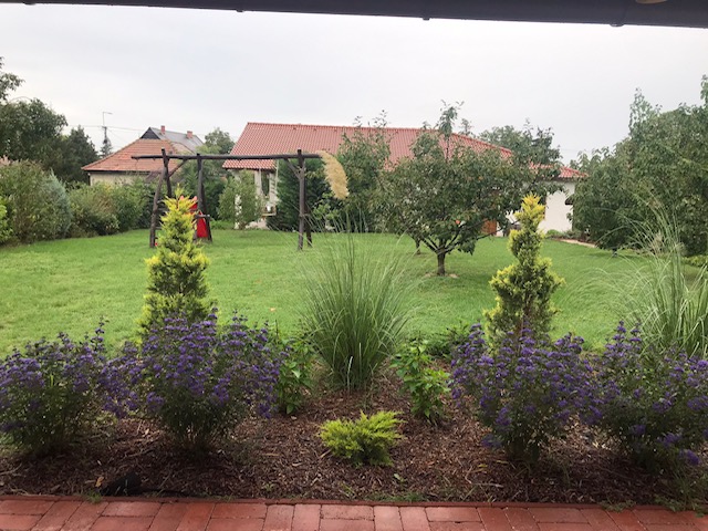 1546_IMG_0016.JPEG
